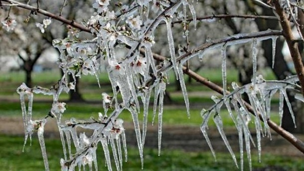 کاهش شدید دما از فردا در سراسر کشور