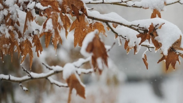 ورود سامانه بارشی به کشور/ یخبندان در برخی استان‌ها