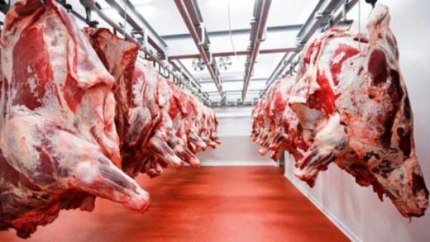 واردات گوشت حیوانات حرام گوشت صحت دارد؟