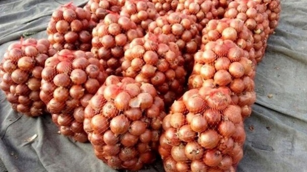 آغاز توزیع پیازهای وارداتی در بازار