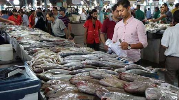 قیمت انواع ماهی و میگو در بازار امروز
