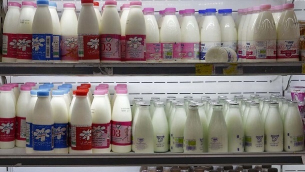 چین و ژاپن مقصد جدید لبنیات ایرانی