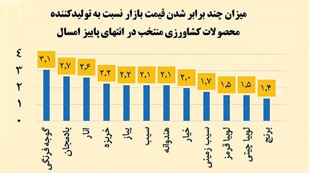 افزایش چند برابری قیمت محصولات کشاورزی از تولید تا مصرف