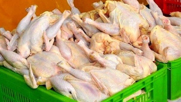 گوشت مرغ 83 هزار تومانی مورد تایید نیست