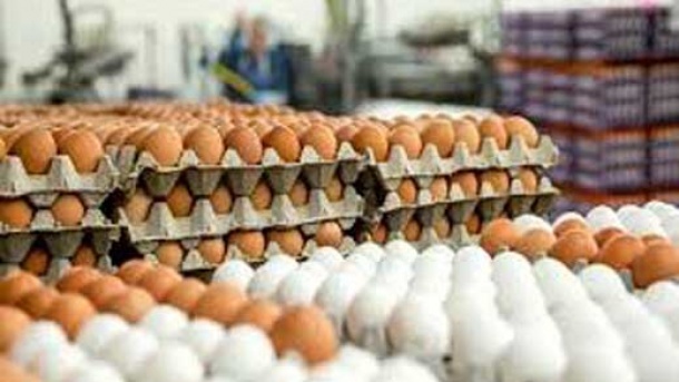 تخم مرغ دانه ای چند؟