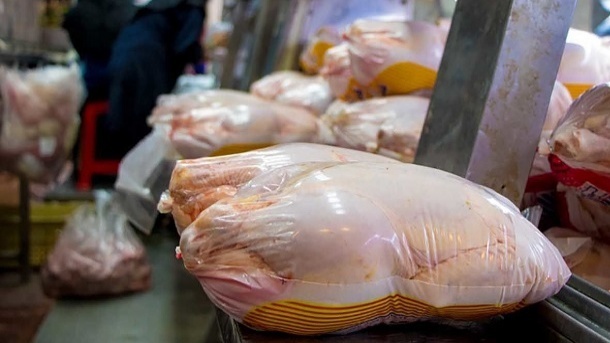 آغاز توزیع مرغ های وارداتی برای تنظیم بازار