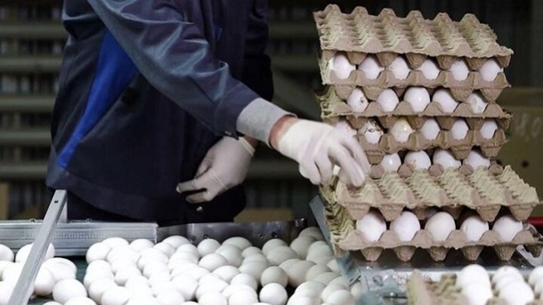 قیمت‌ جدید تخم مرغ هفته‌ آینده اعلام می‌شود
