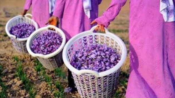 قیمت زعفران در بازار امروز +جدول