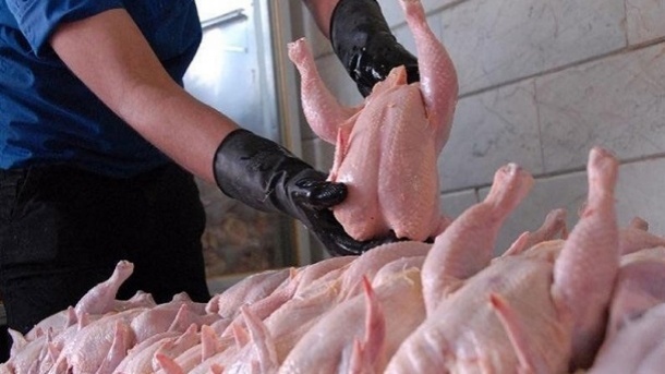 اصلاح قیمت مرغ براساس هزینههای تولید در سال 1402