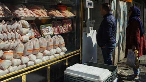 قیمت جدید انواع مرغ و تخم مرغ در بازار امروز