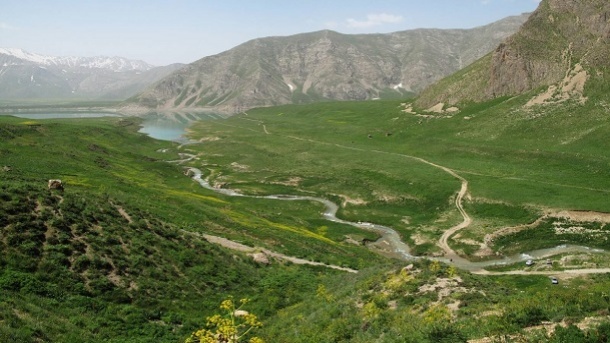 حکم جالب یک قاضی در لواسانات