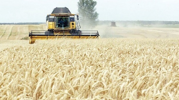 نگرانی کشاورزان در مورد قیمت تضمینی گندم