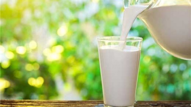 قیمت جدید شیر خام اعلام شد