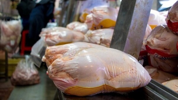 ثبات به بازار مرغ برگشت