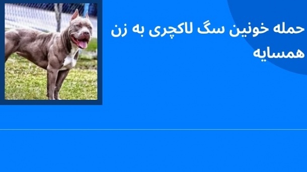 حمله خونین سـگ لاکچری به زن همسایه