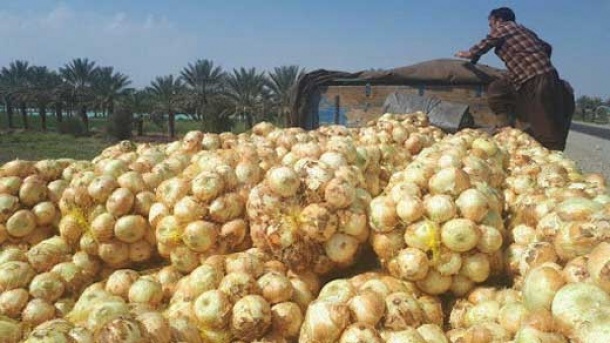 ممنوعیت صادرات پیاز و سیب زمینی لغو شد