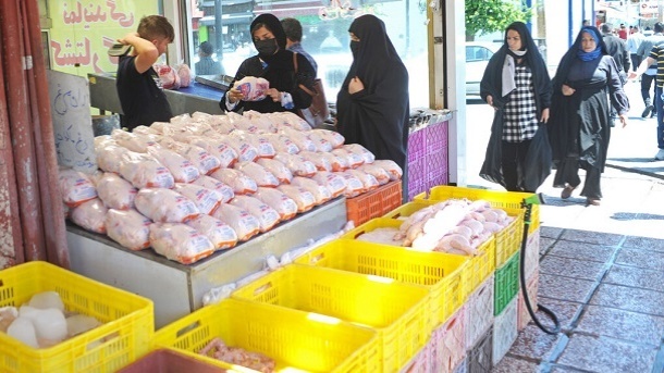 برنامه 5گانه جهاد کشاورزی برای ثبات بازار مرغ