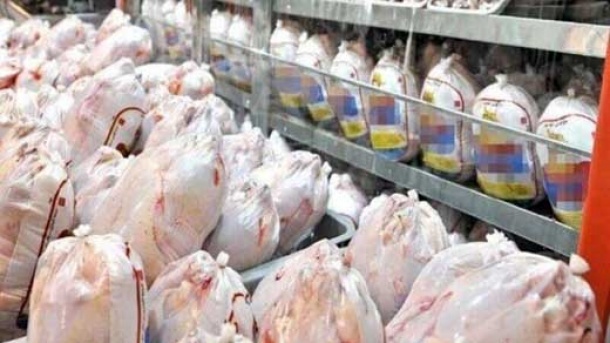 اگر مرغ به نرخ مصوب عرضه نشود ، وارد می کنیم