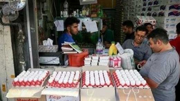 قیمت هر شانه تخم مرغ در بازار چند؟