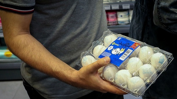 فروش تخم مرغ درب واحدهای تولیدی زیر قیمت مصوب