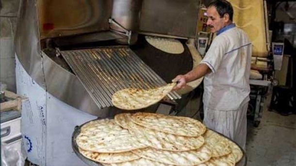 هرگونه افزایش قیمت نان را گزارش دهید