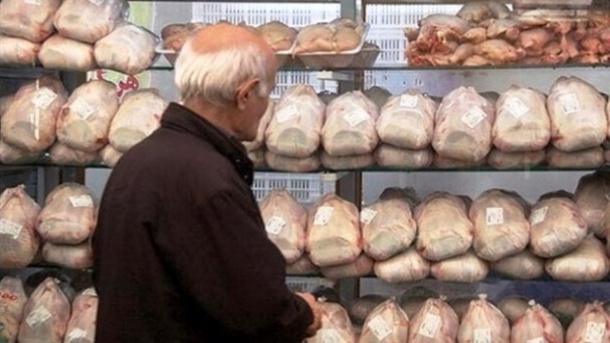 تمامی مرغ‌های موجود در بازار سالم هستند