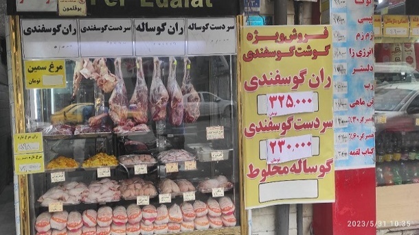 نابسامانی در توزیع گوشت مرغ