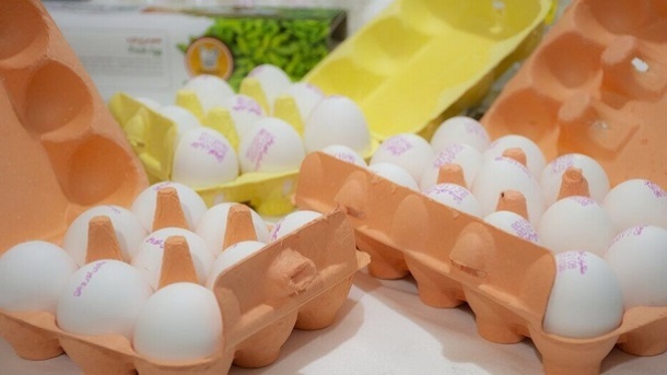 قیمت جدید تخم مرغ بسته بندی