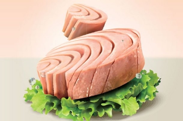 ماجرای قیمت نجومی تن ماهی