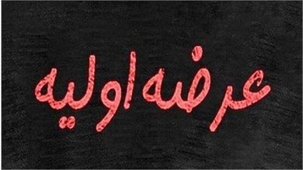 کدام شرکتها در بورس تهران عرضه اولیه خواهند شد؟