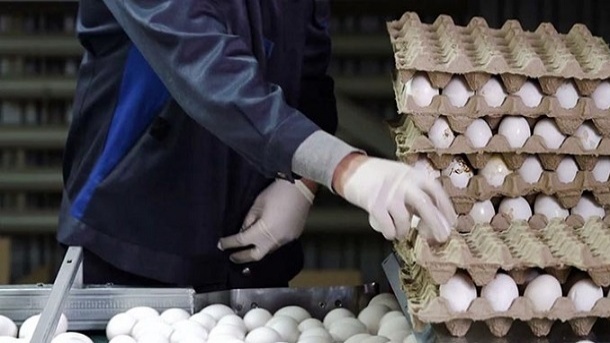 قیمت تخم‌مرغ در بازار پایین‌تر از نرخ مصوب