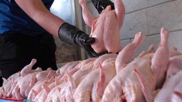 جدیدترین قیمت مرغ در بازار