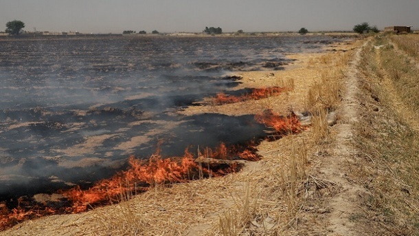 هشدار وقوع دمای بالای 49 درجه و احتمال آتش‌سوزی‌ مراتع
