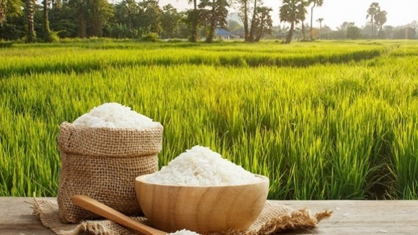 ممنوعیت واردات برنج لغو نشده است