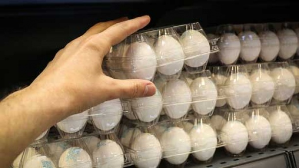 قیمت انواع تخم مرغ در بازار