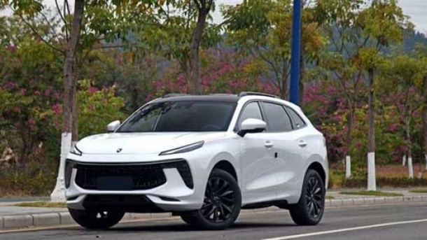 امکان ثبت شکایت متقاضیان خودرو لاماری