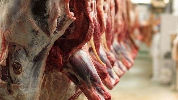 ترخیص گوشت منجمد پس از یکسال معطلی در گمرک