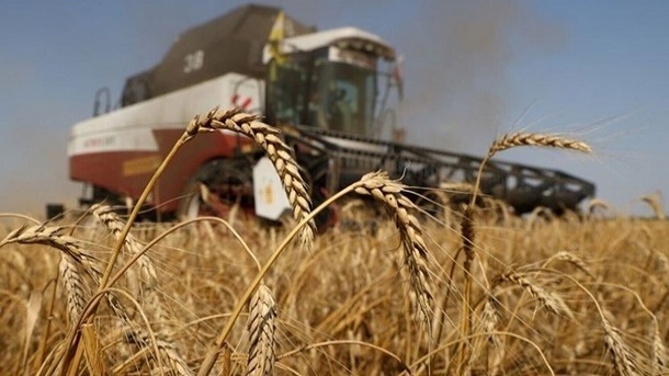 عربستان پیشرو در خرید غلات روسیه