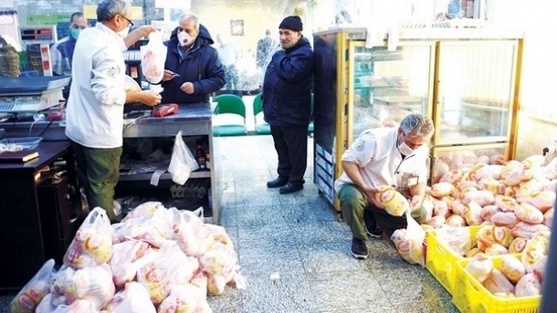 چند پیشنهاد برای موفقیت طرح توزیع مرغ و گوشت