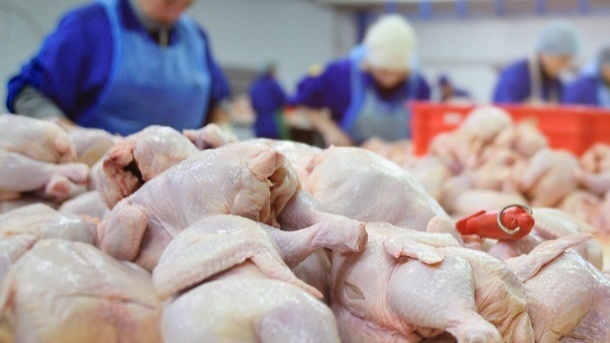 سود بازرگانی واردات گوشت مرغ حذف شد