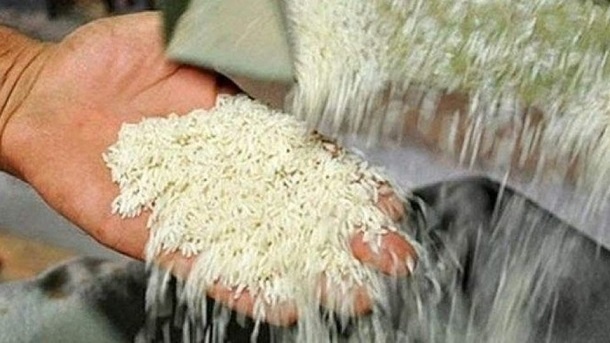 برنج‌های تولیدی سال گذشته خریداری می‌شوند