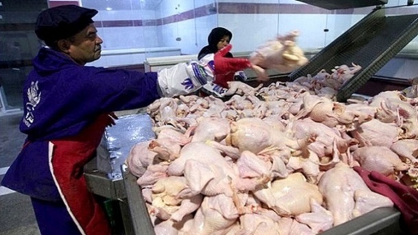 قیمت جدید گوشت مرغ اعلام شد 1402/05/24