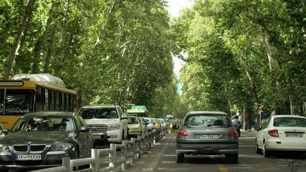 توضیح شهرداری درباره قطع کردن ۱۷۹ درخت در ولیعصر