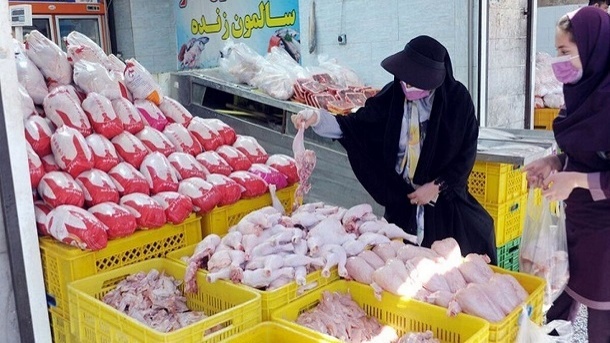 رکوردشکنی جوجه ‏ریزی برای تنظیم بازار مرغ