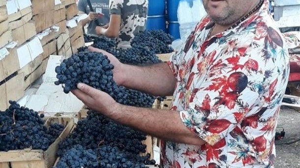 تولید و فروش آب انگور ممنوع شد