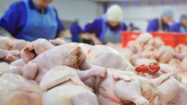 قیمت جدید گوشت مرغ 1402/06/11