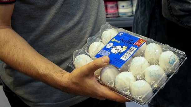 قیمت هر شانه 30 عددی و تخم مرغ‌های بسته بندی 