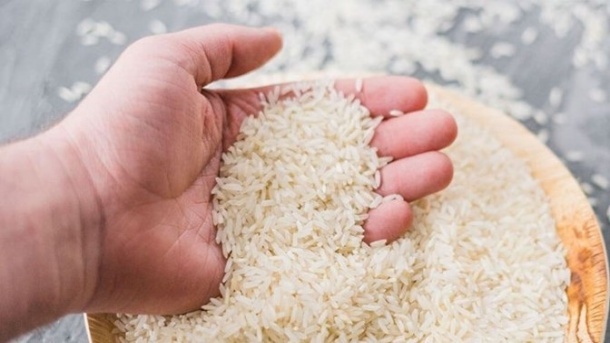 تداوم حمایت از خرید برنج در فصل برداشت