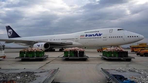 گوشت کنیایی وارد ایران شد + تصویر