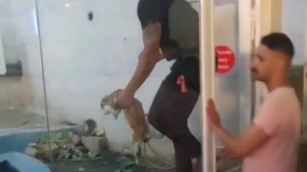 انتشار یک فیلم غیراخلاقی از باغ وحش مشهد